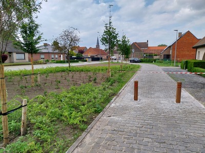 Maldegem boomt-Pastoor De Swaeflaan